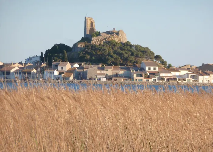 La Pergola De La Plage